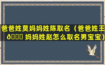 爸爸姓莫妈妈姓陈取名（爸爸姓王 🐅 妈妈姓赵怎么取名男宝宝）